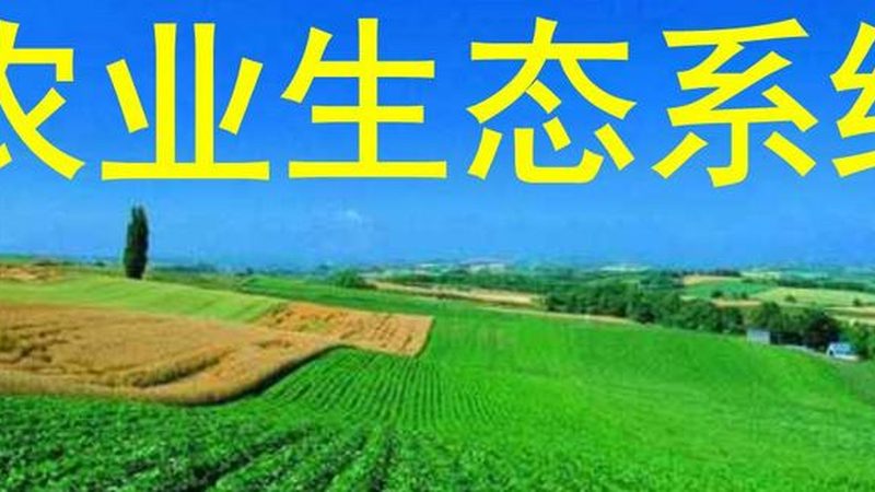有机认证与绿色食品认证：申请流程与关键要点