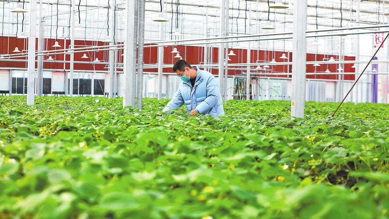 农民专业合作社注册失败，背后原因分析