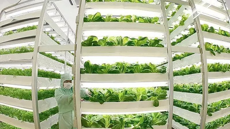 粮食种植每亩补贴后的成本真相揭秘**