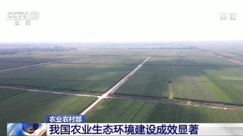 行业现状：冷链物流发展迅速，但问题依然存在