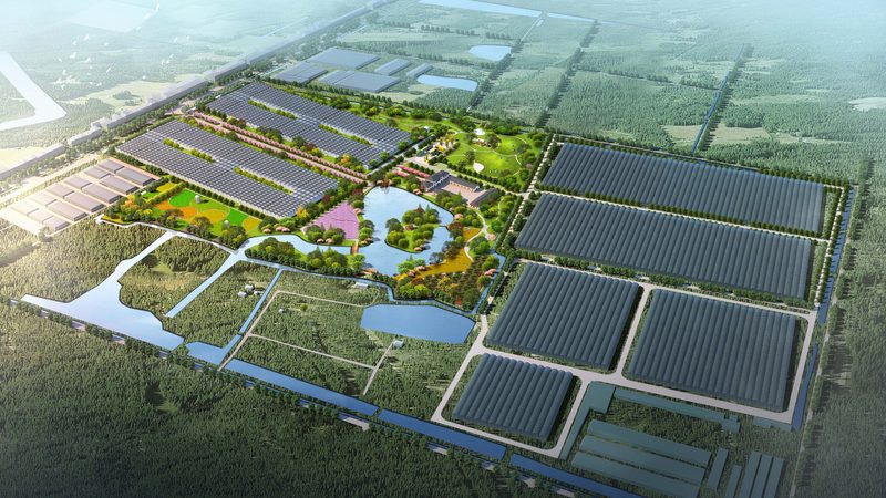 生态之旅：如何挑选合适的广东生态农业观光园**