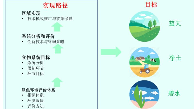 民宿定制设计公司哪家靠谱
