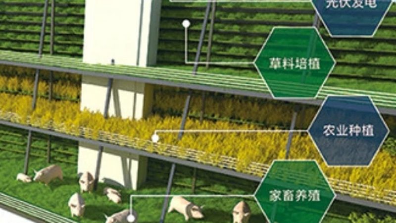 现代观光园设计：材质选择的生态考量