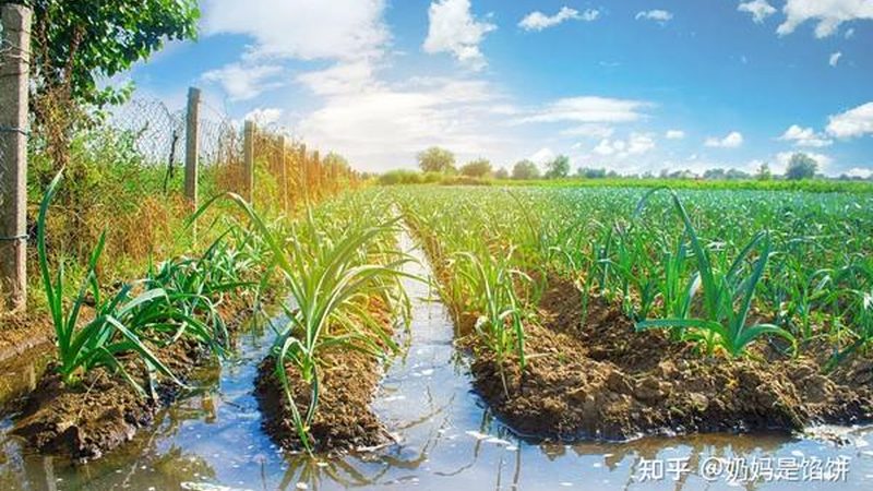 农业产业园灌溉系统镀锌管：如何选择合适的产品？**