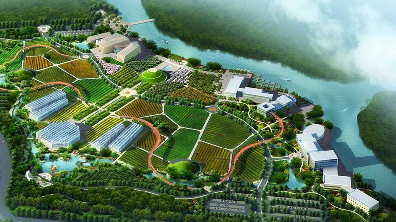 果蔬配送中心标准化建设：从粗放运营到系统管控
