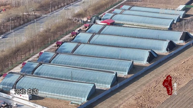 生态农业设备：助力绿色种植的未来之星