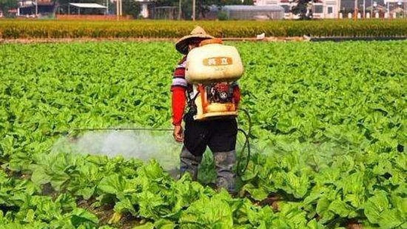 排水不畅的田块，种什么都白费力气