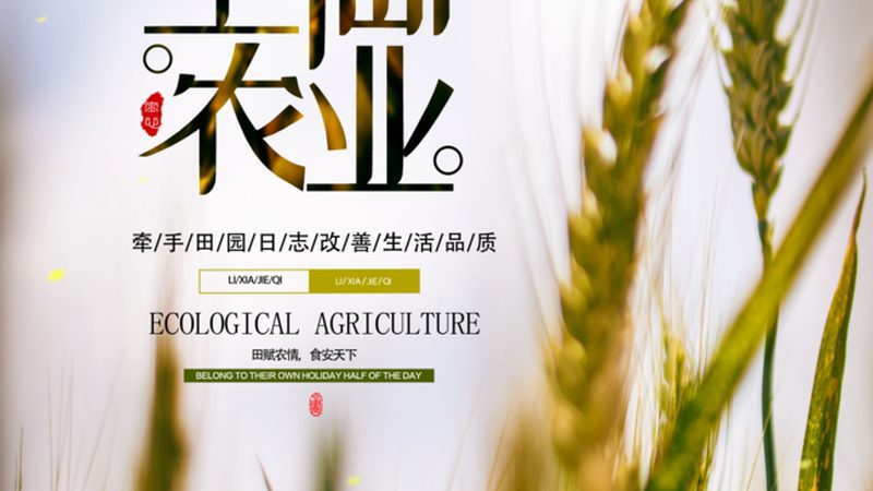 在进行绿色食品认证之前，首先需要满足一些基本条件。这些条件包括但不限于：